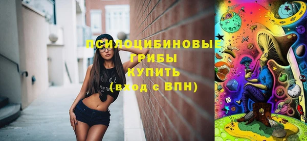 тгк Новокубанск